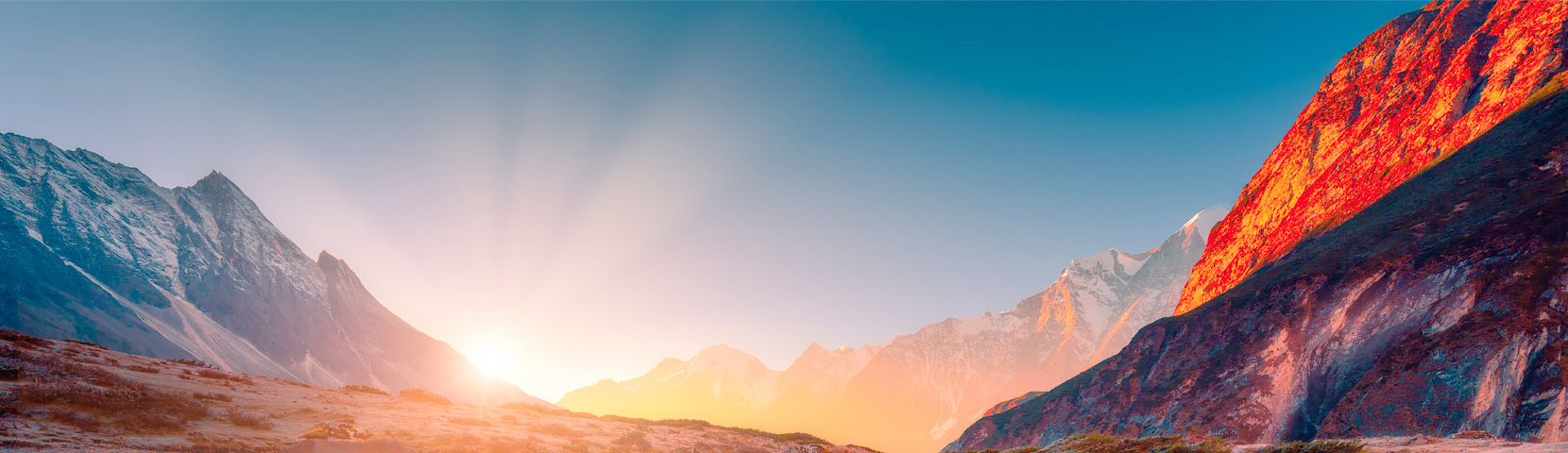 关于万宝路公司